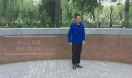 八卦掌视频,视频解析传统武术奥秘